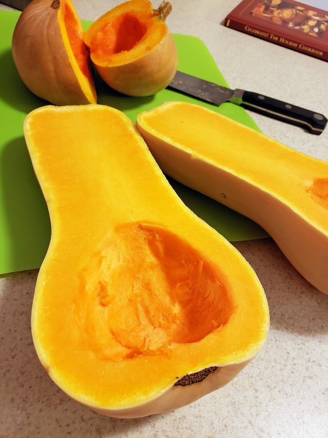 butternut-3812099_1280