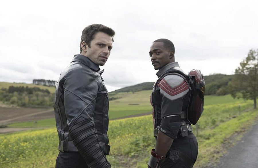 The newest addition to the Marvel Cinematic Universe, The Falcon and the Winter Soldier is a moving series about healing after the death of Captain America, life surviving trauma, and living as an African American man near the stars and stripes.