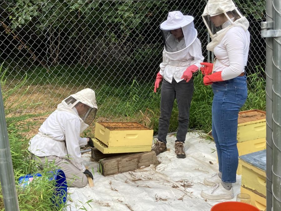 Students give back to the Earth through the eco club