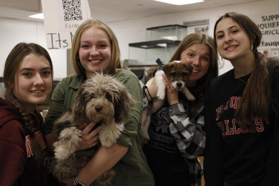 Animal system students Claire Scaring, Sara Moore, Emily Gray and Paige Dean enjoying taking care of these little pups.