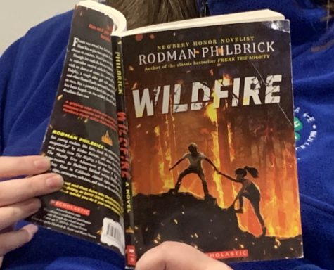 Wildfire book cover from The Blue Sky Press. The cover shows Sam Castine and Delphy Pappas running from a fire.