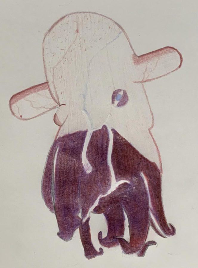 A drawing depicting the first Emperor Dumbo Octopus discovered in 2016.