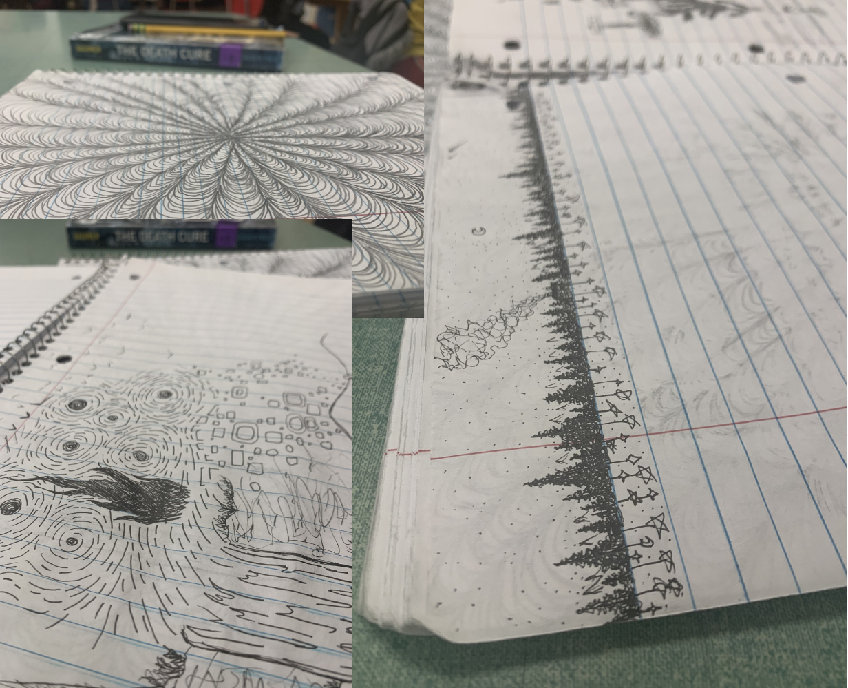 Some of the many artworks that Kairi Esposito has made.