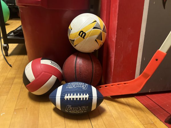 Balls representing a variety of different sports rest in a gym closet.
