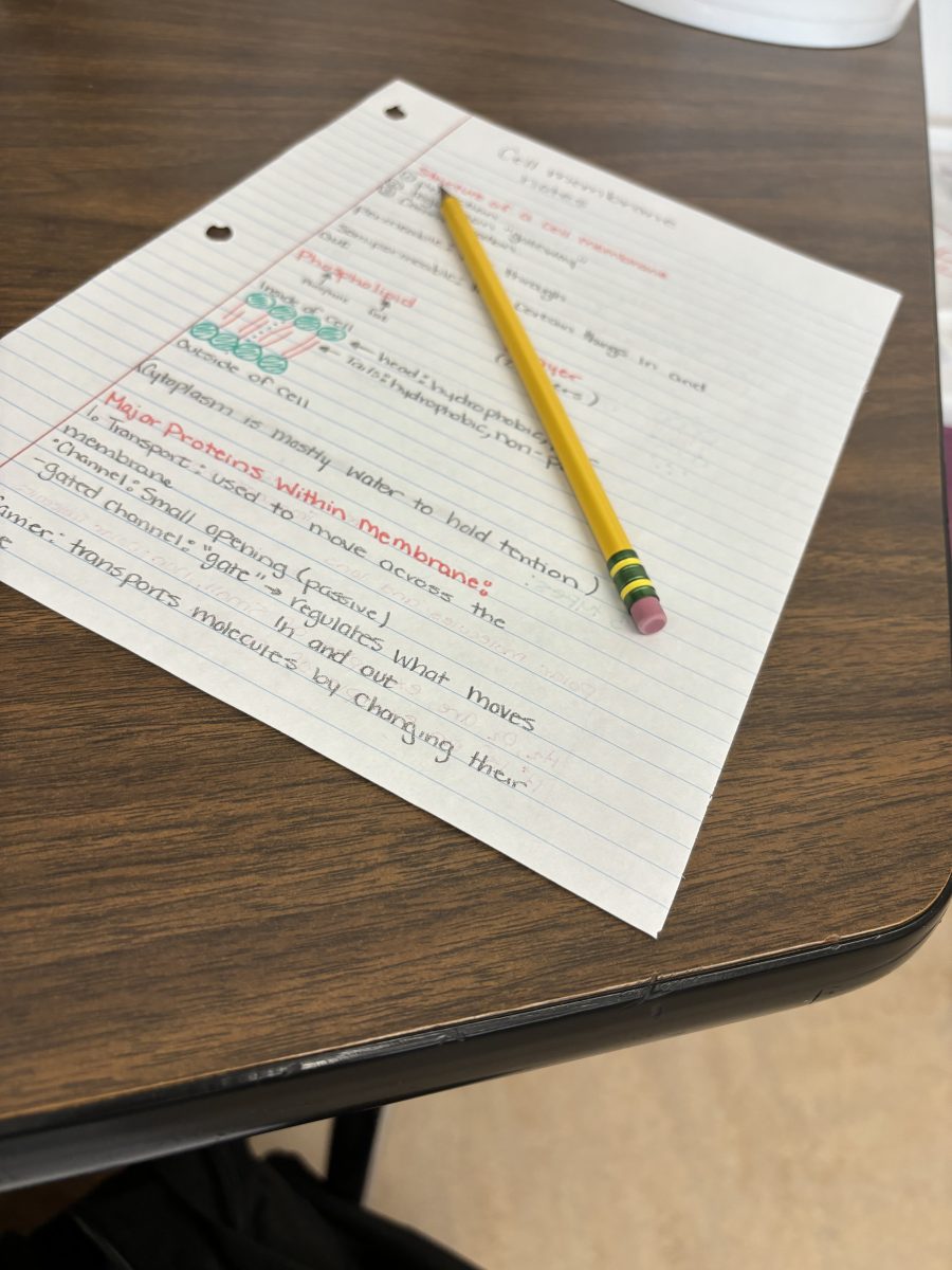 Notes taken by a student.