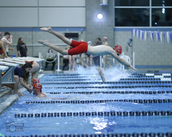 A FHS swimmer dives into the pool to start his race during a swim meet.