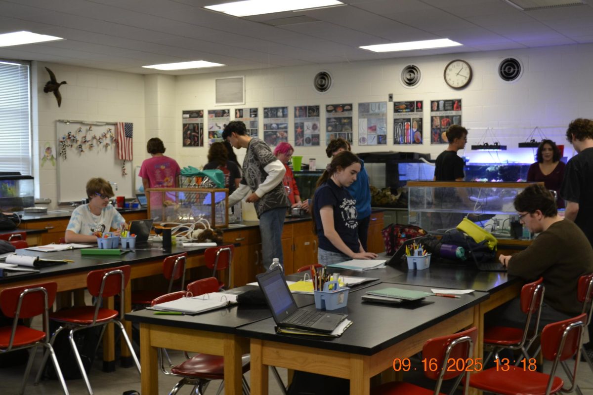 The students in Austin Evans' marine biology class taking care of their aquatic animals.
