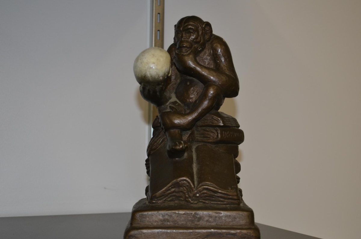 Eckenrode's statue depicting Darwin's Ape sitting pondering on his shelf.