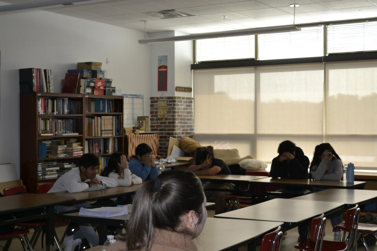 ESL students actively learning in an open learning environment.